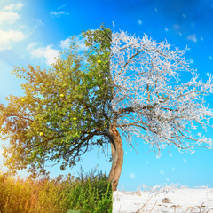 Collection image for: Seasonal Collections